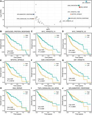 Title: Multi-Omics and Immune Landscape of Proliferative LncRNA Signatures: Implications for Risk Stratification and Immunotherapy in Hepatocellular Carcinoma